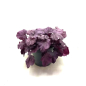 Preview: Heuchera Kübel