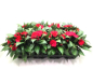 Preview: Impatiens Neu-Guinea Rottöne