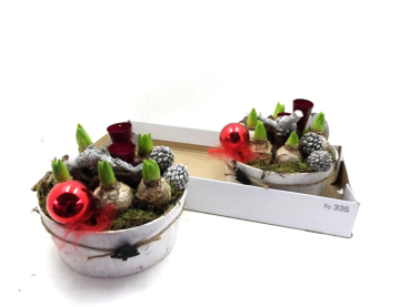 Hyazinthen in Holzschale