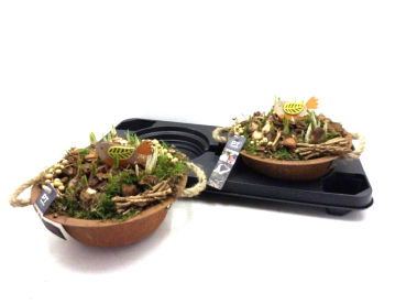 Zwiebelmix in Blechschale