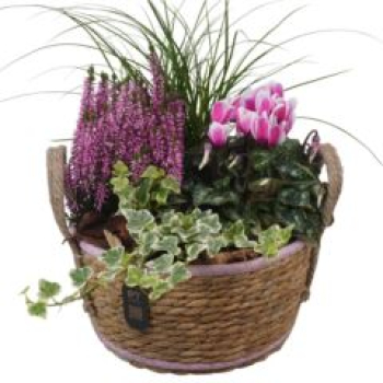 bepflanzter Korb Jute