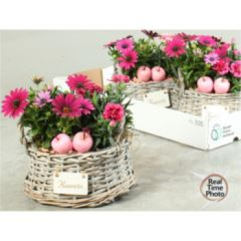 Frühlingsmix im Korb