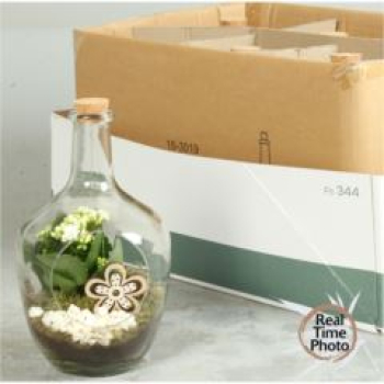 bepflanzte Flasche