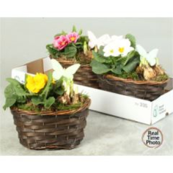 Frühlingsmix im Korb - oval