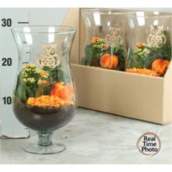 bepflanztes Glas