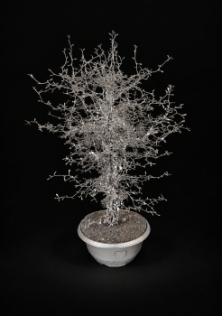 Corokia gefärbt Silber + Glitter Schale