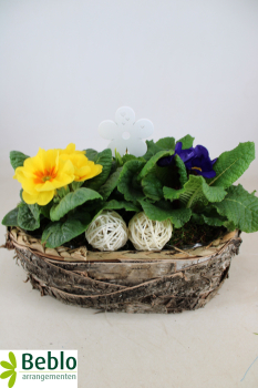 Frühlingsmix in Borkenschale