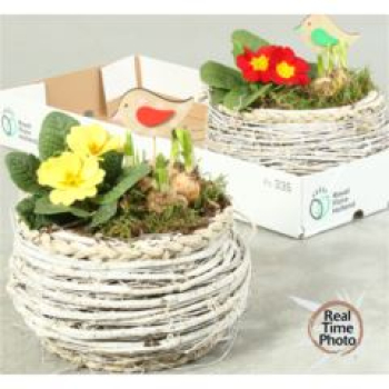 Frühlingsmix im Korb-weiß