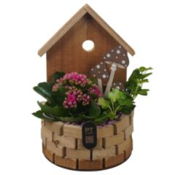 bepflanzter  Holzbrunnen