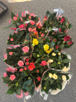 Rosen Mix