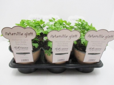 L'Aroma - Petersilie glatt