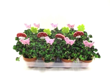 Klee in Tontopf + Filzstecker