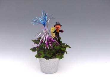 Klee in Glitzertopf + Fontäne und Feger