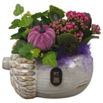 bepflantzter Topf -Eichel pink