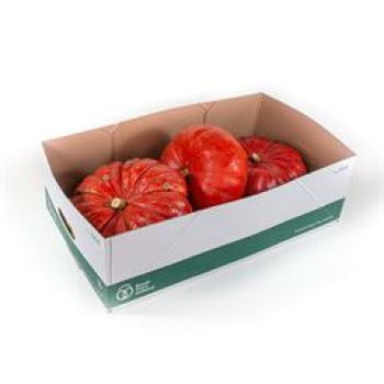 Cucurbita  rote von Etampes