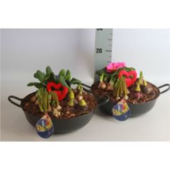 Frühlingsmix in Blechschale-rund