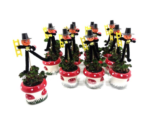 Klee in Keramikpilz mit Feger