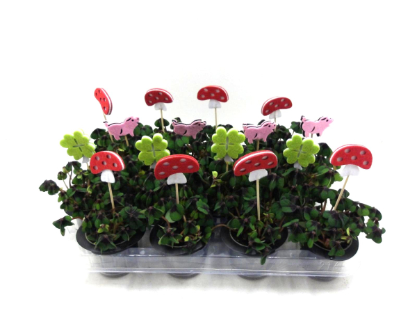 Klee in Zylinder + Filzstecker