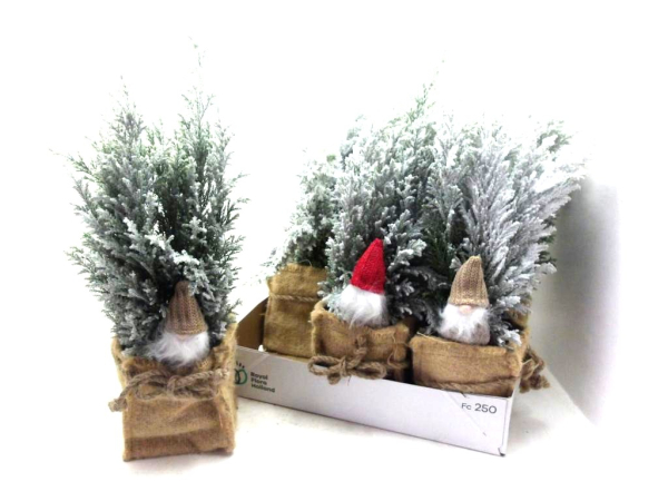 Chamaecyparis laws. beschneit in Jute