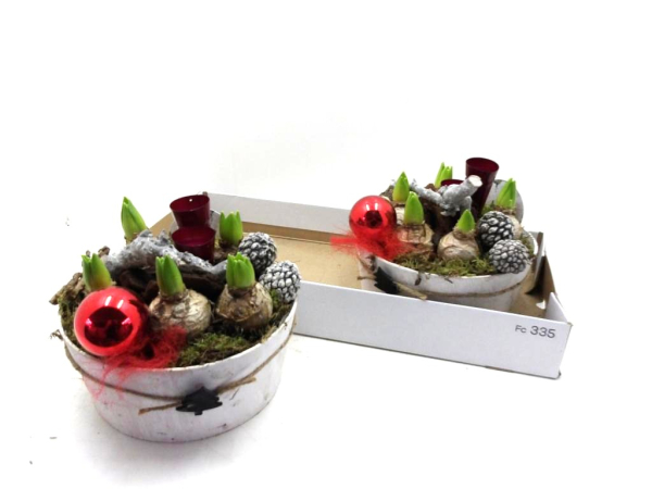 Hyazinthen in Holzschale