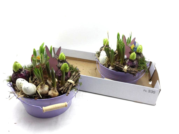 Zwiebelmix in Blechschale lila