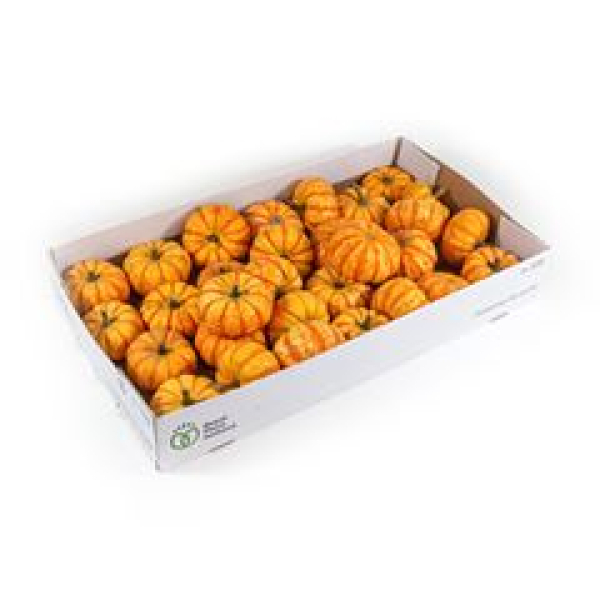 Cucurbita orange