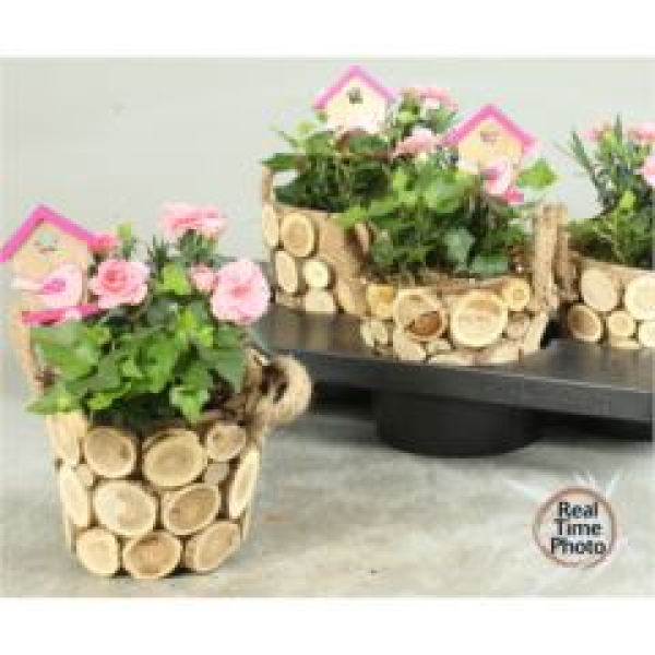 Frühlingsmix in Holztopf