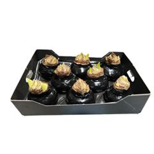 Wachsamaryllis schwarz