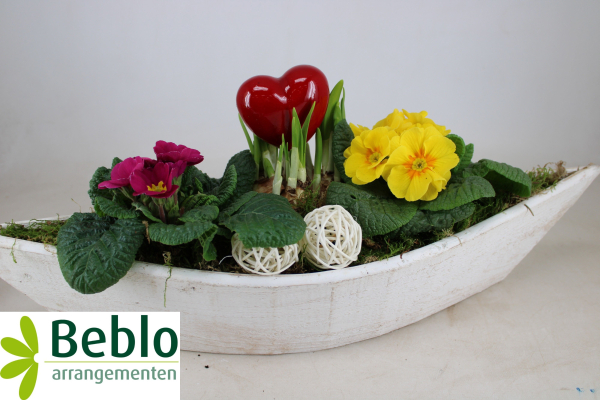 Holzschiff bepflanzt