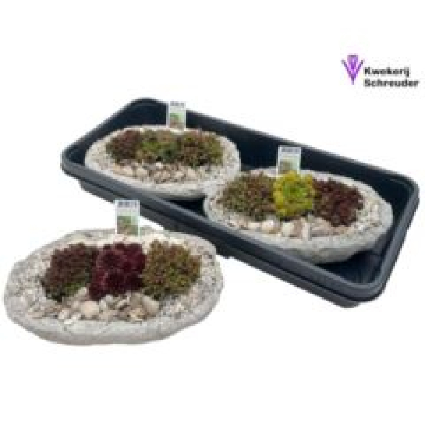 Steingartenschale in Beton-oval