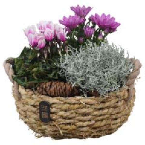 bepflanzter Korb Jute - oval