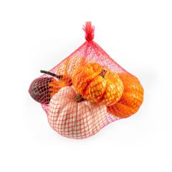 Cucurbita mix im Netz