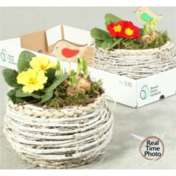 Frühlingsmix im Korb-weiß