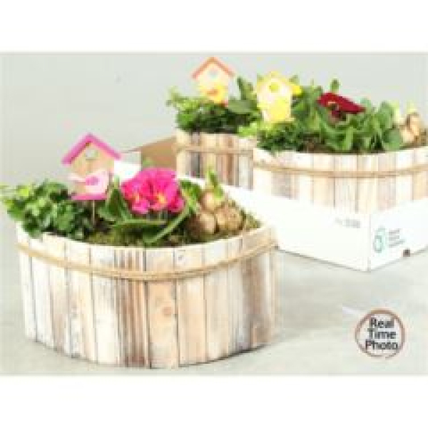 Frühlingsmix in Holzschiffchen