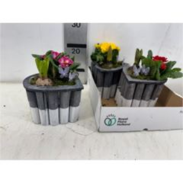 Frühlingsmix im Holzherz