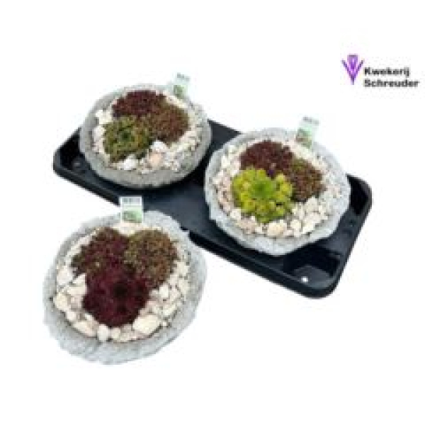 Steingartenschale in Beton-rund