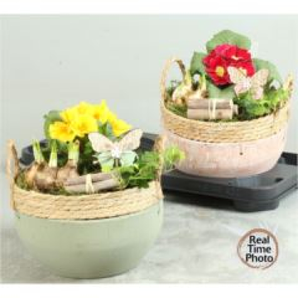 Frühlingsmix in Tonschale