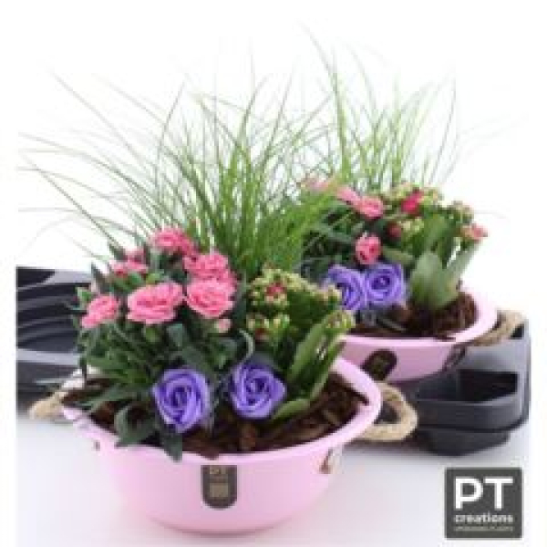 Sommerschale rosa