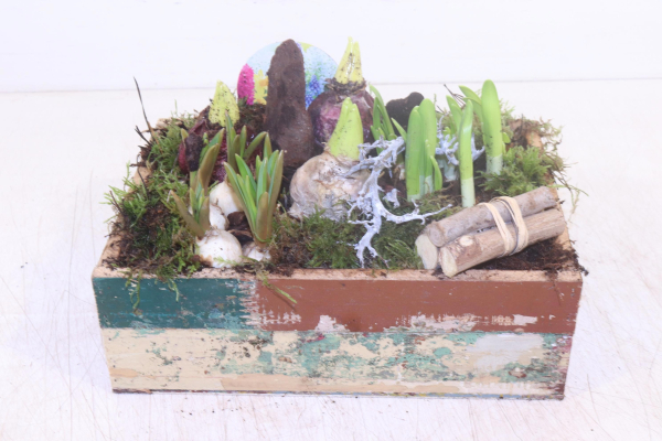 Zwiebelmix in Holzkasten