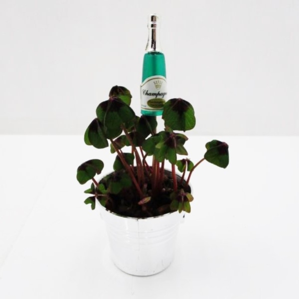 Klee in Sektkühler + Flasche