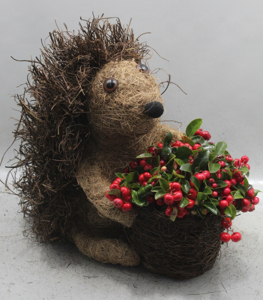Igel bepflanzt