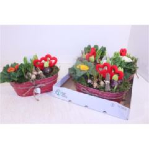 Frühlingsmix in Blechschale-oval in pink