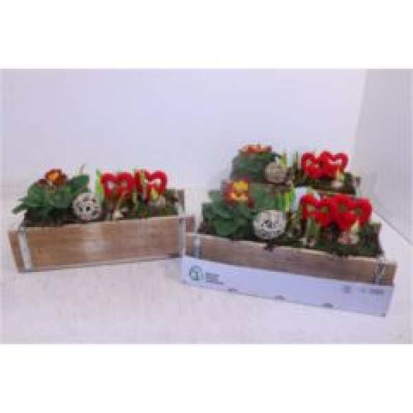 Frühlingsmix im Holzkasten