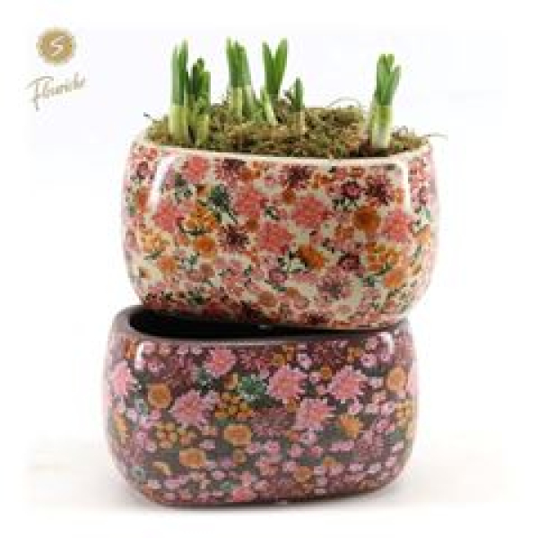 Narzisse im Keramiktopf oval