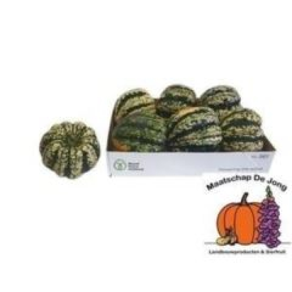 Cucurbita pepo 'Sweet Dumpling'