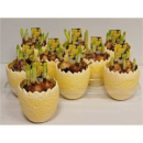 Narzissen in Ei gelb -aufrecht