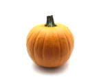 Cucurbita "Halloween"