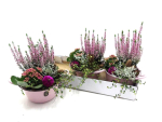 bepflanzte Blechschale rosa