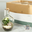 bepflanzte Flasche