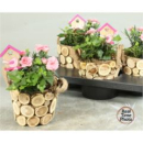 Frühlingsmix in Holztopf